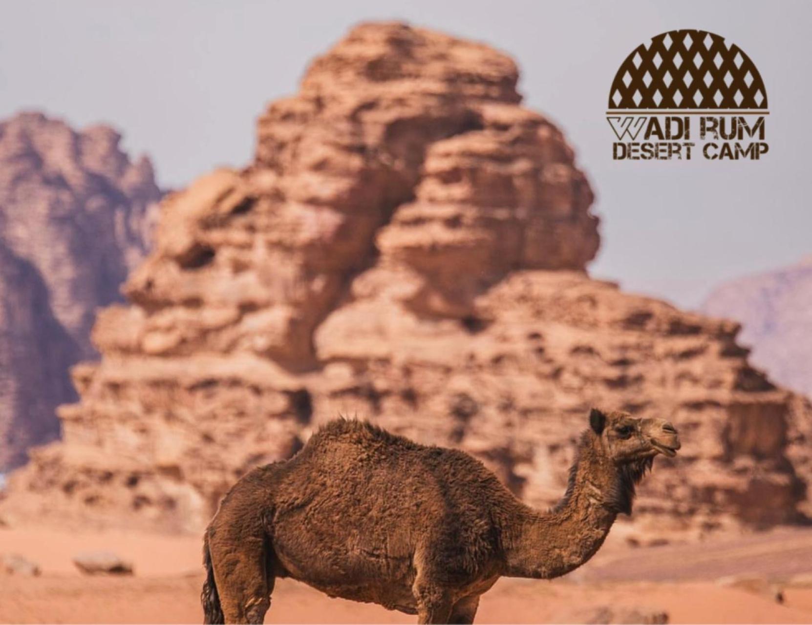 Rum Mere Luxury Camp Wadi Rum Bagian luar foto